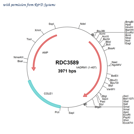 R&D Systems RDC3589 image 1