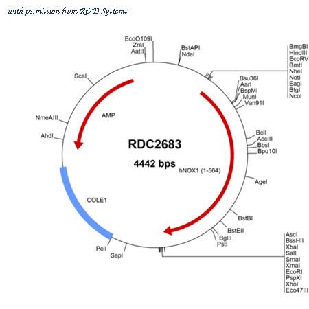 R&D Systems RDC2683 image 1