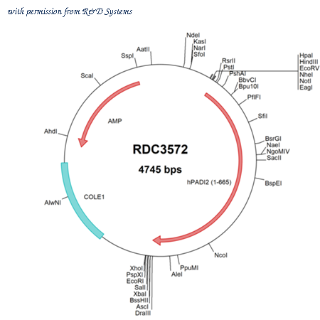 R&D Systems RDC3572 image 1