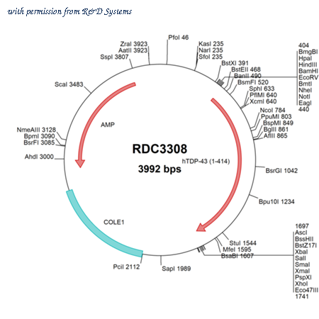 R&D Systems RDC3308 image 1