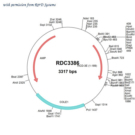 R&D Systems RDC3386 image 1