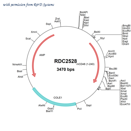 R&D Systems RDC2528 image 1