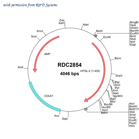 R&D Systems RDC2854 image 1