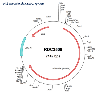 R&D Systems RDC3509 image 1
