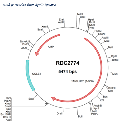 R&D Systems RDC2774 image 1