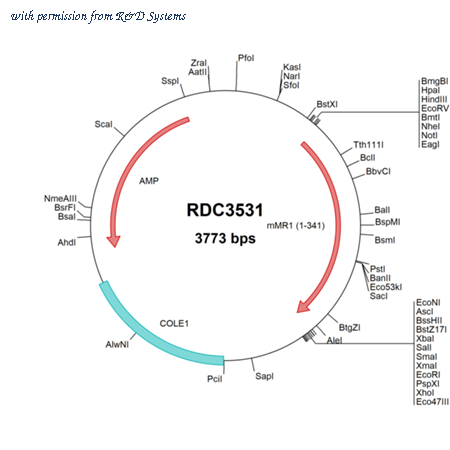 R&D Systems RDC3531 image 1