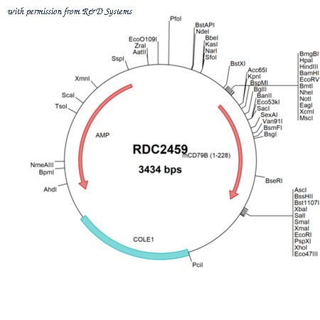 R&D Systems RDC2459 image 1