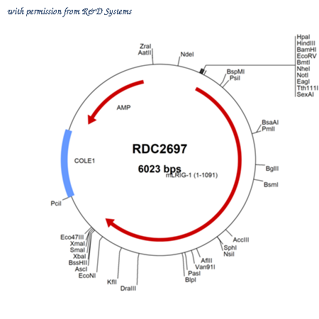 R&D Systems RDC2697 image 1
