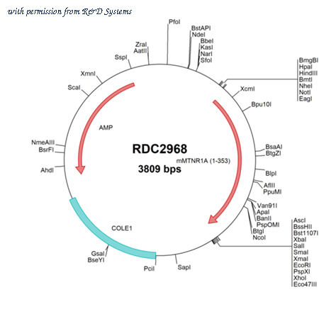 R&D Systems RDC2968 image 1