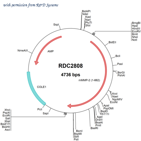 R&D Systems RDC2808 image 1