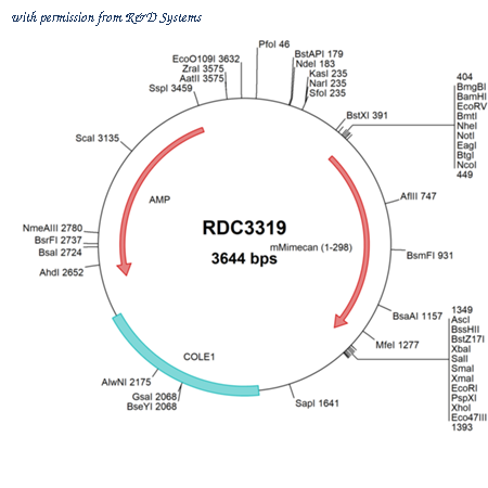 R&D Systems RDC3319 image 1