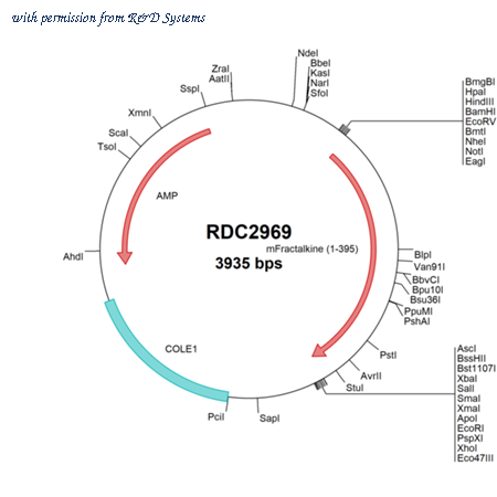 R&D Systems RDC2969 image 1