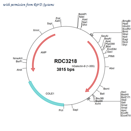 R&D Systems RDC3218 image 1
