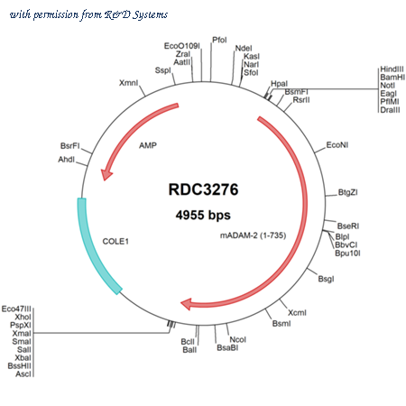 R&D Systems RDC3276 image 1