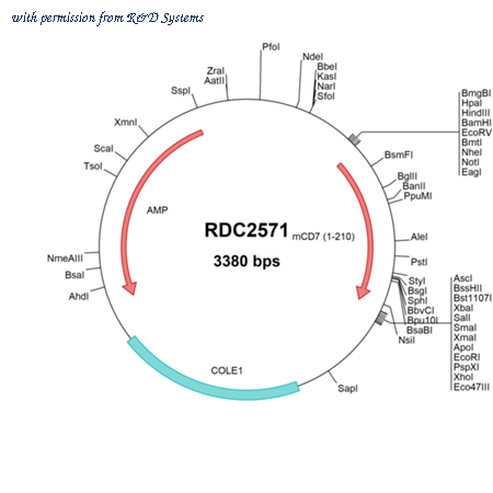 R&D Systems RDC2571 image 1