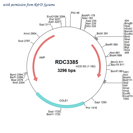 R&D Systems RDC3385 image 1