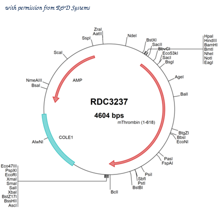 R&D Systems RDC3237 image 1
