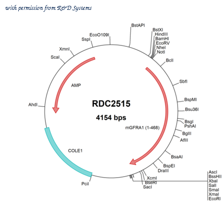 R&D Systems RDC2515 image 1