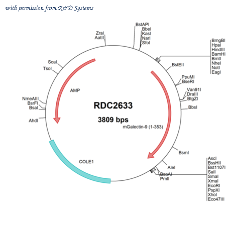 R&D Systems RDC2633 image 1