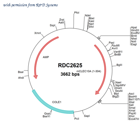 R&D Systems RDC2625 image 1