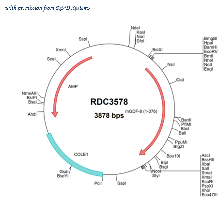 R&D Systems RDC3578 image 1