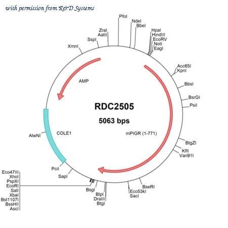 R&D Systems RDC2505 image 1