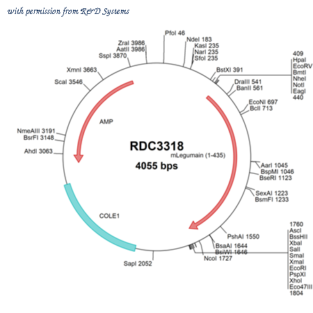 R&D Systems RDC3318 image 1