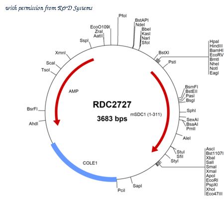 R&D Systems RDC2727 image 1