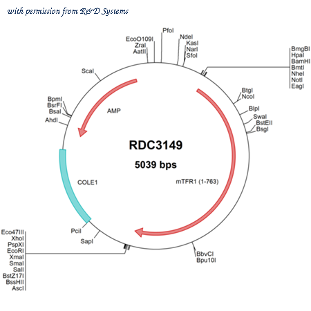 R&D Systems RDC3149 image 1