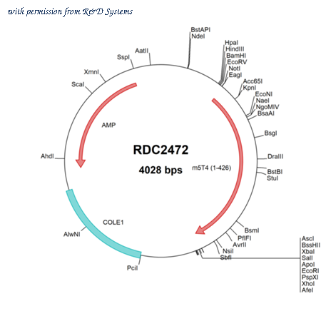 R&D Systems RDC2472 image 1