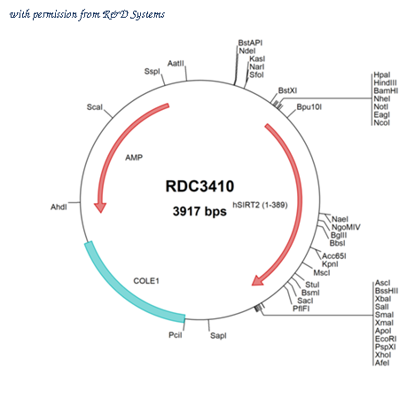 R&D Systems RDC3410 image 1