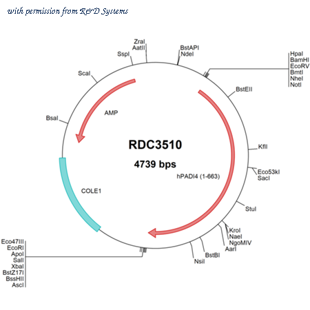 R&D Systems RDC3510 image 1