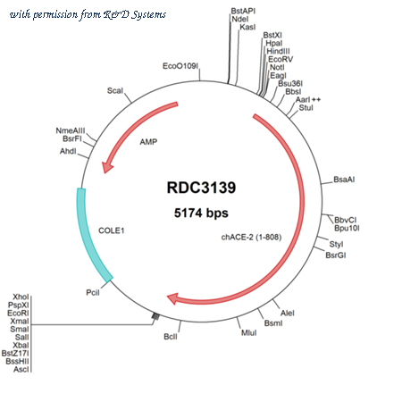 R&D Systems RDC3139 image 1