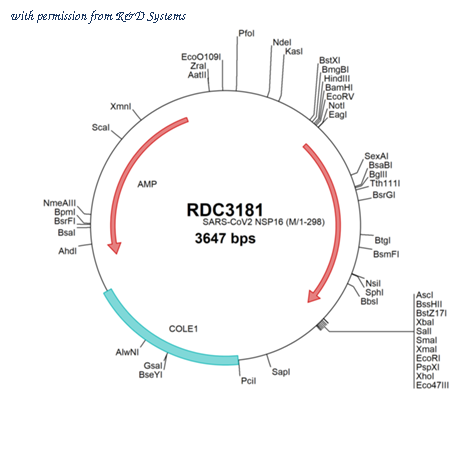 R&D Systems RDC3181 image 1