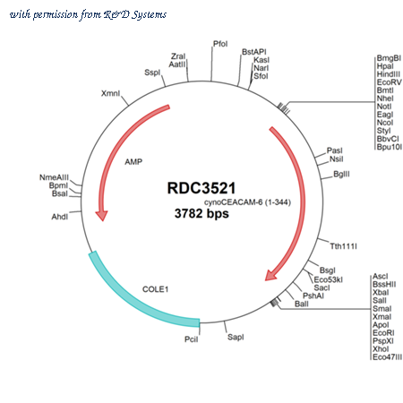 R&D Systems RDC3521 image 1