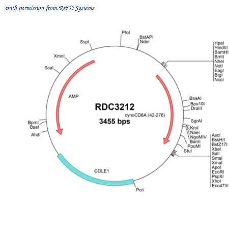 R&D Systems RDC3212 image 1