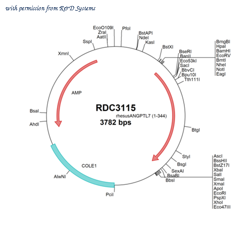 R&D Systems RDC3115 image 1