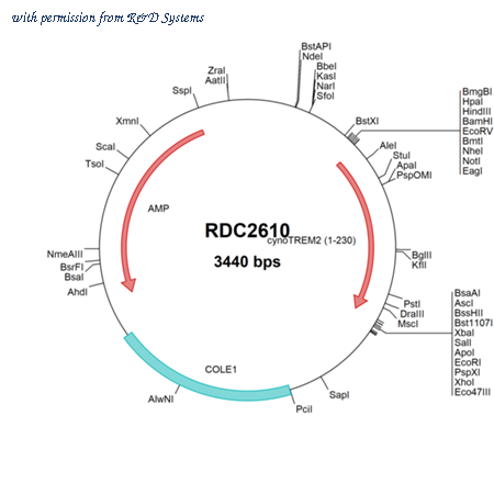 R&D Systems RDC2610 image 1