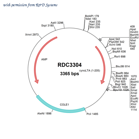 R&D Systems RDC3304 image 1