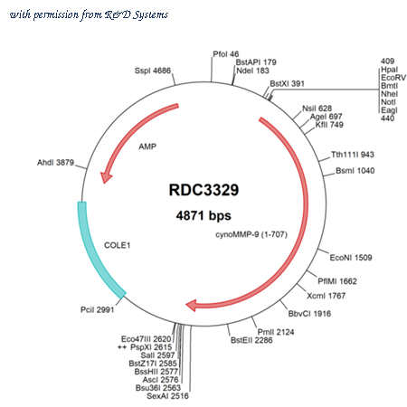 R&D Systems RDC3329 image 1