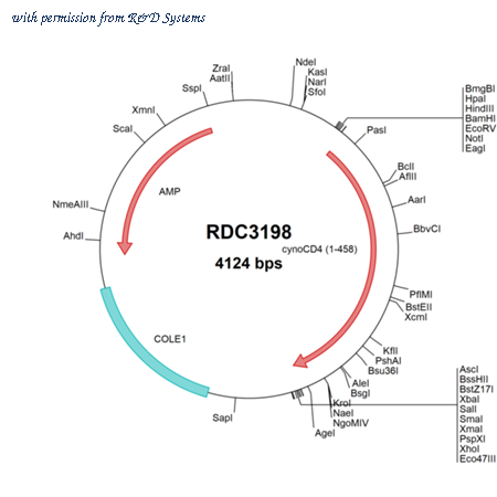 R&D Systems RDC3198 image 1