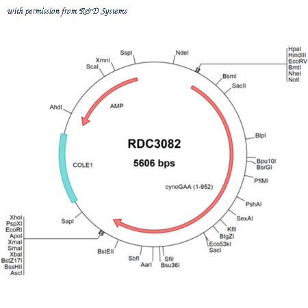 R&D Systems RDC3082 image 1