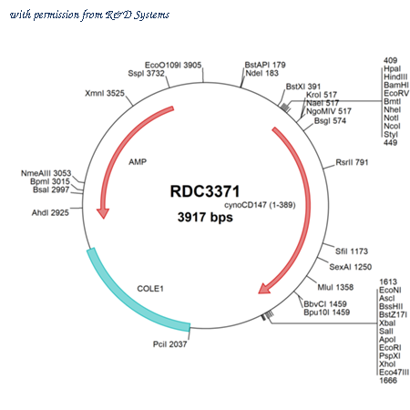 R&D Systems RDC3371 image 1