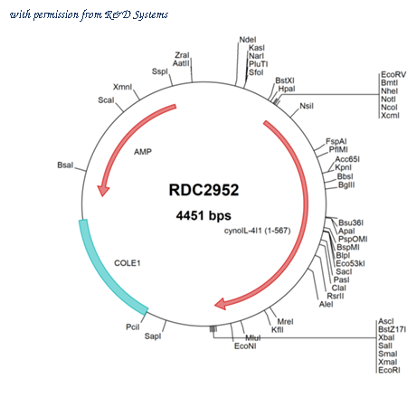 R&D Systems RDC2952 image 1