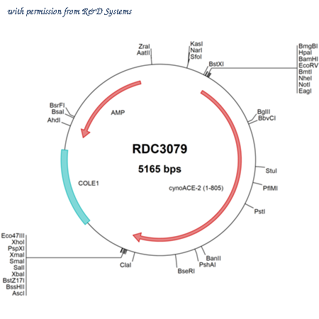 R&D Systems RDC3079 image 1