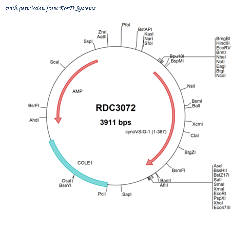 R&D Systems RDC3072 image 1