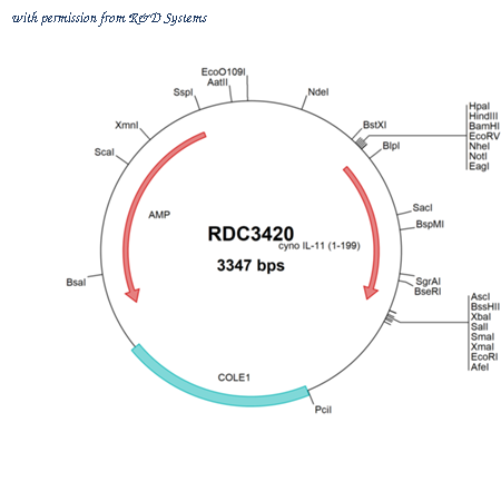 R&D Systems RDC3420 image 1