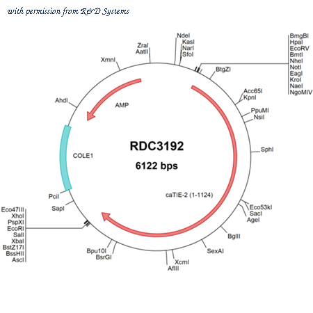 R&D Systems RDC3192 image 1
