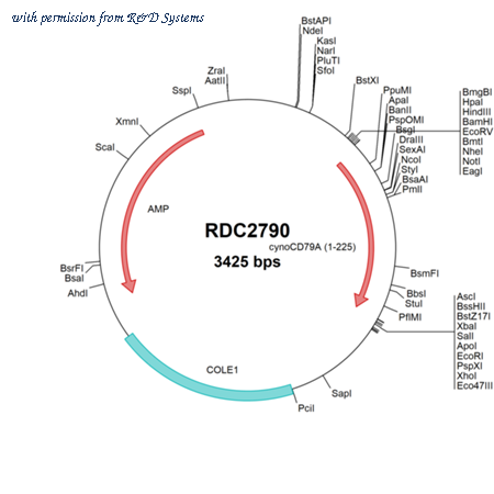 R&D Systems RDC2790 image 1