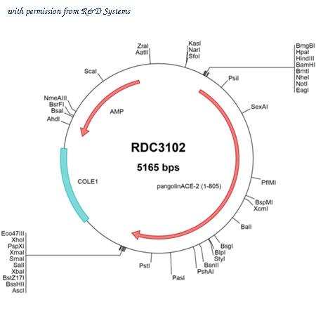 R&D Systems RDC3102 image 1